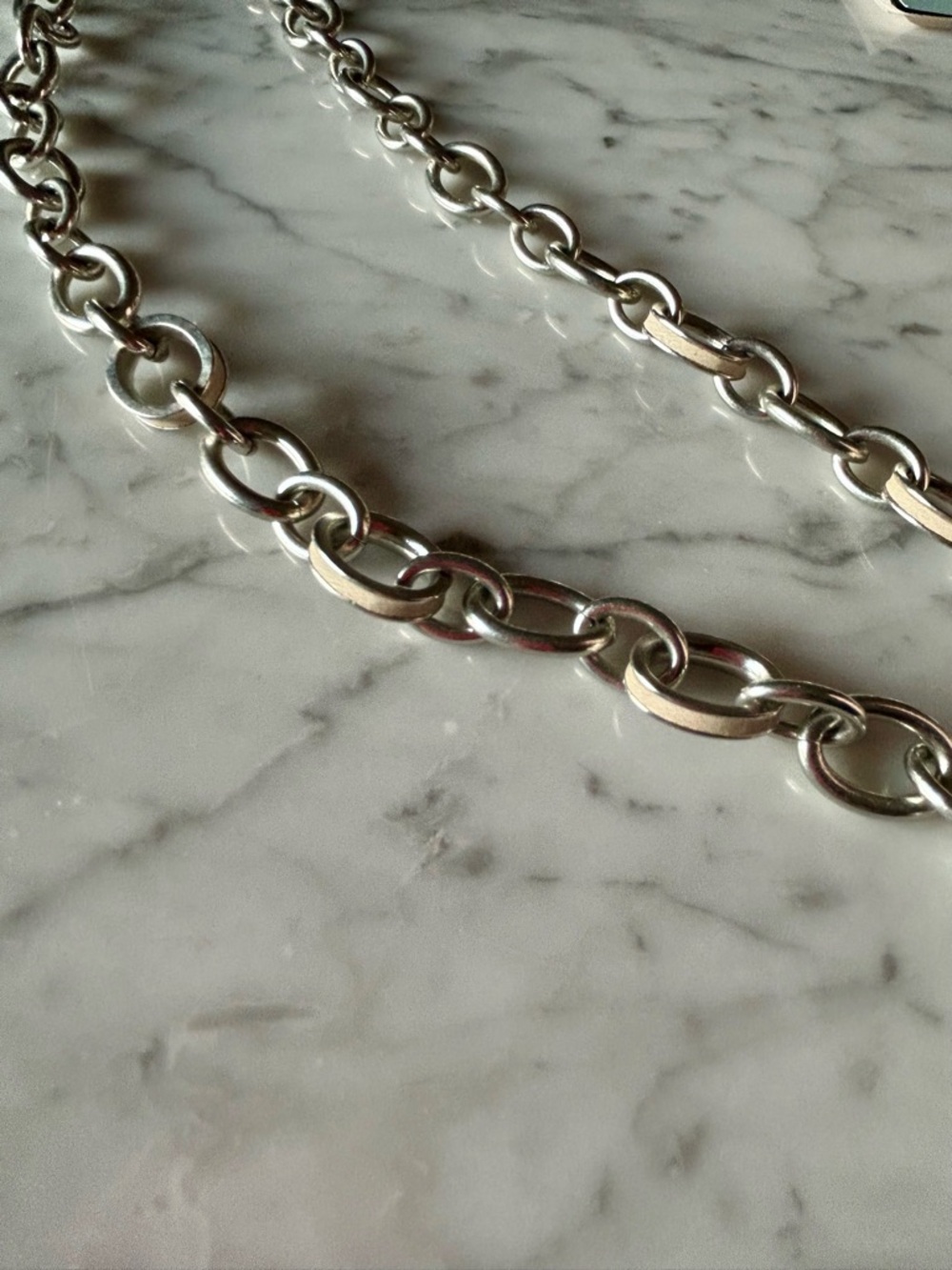 Banana Republic Silver Link Chain Necklace